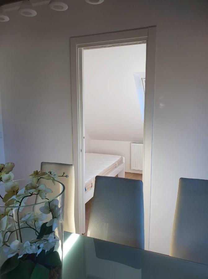 Golob Apartment קרנייסקה גורה מראה חיצוני תמונה